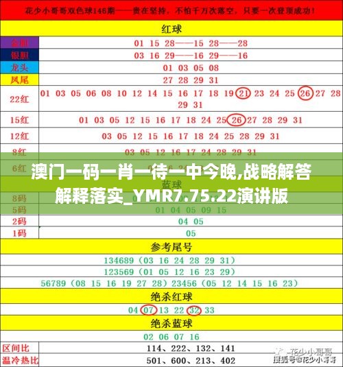 新澳门今晚精准一肖:实用释义解释落实